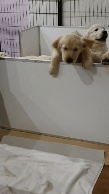 Ausbruch aus der Wurfkiste :-)